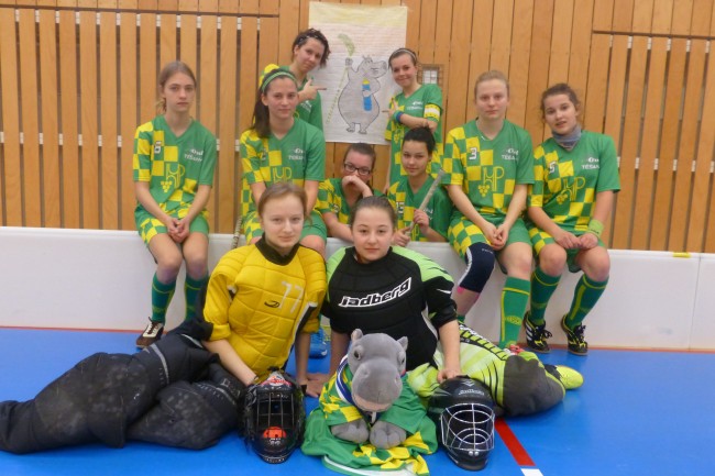 2014.3.16dorostenkyDambo