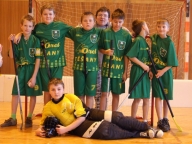 26.1.2008, Kvalifikace ve florbalu ml. žáků, Těšany
