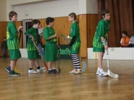 13.2.2011 Turnaj začínajících hráčů a hráček, Boleradice