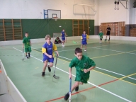 7.1.2012 Liga mladších žáků, Hodonín