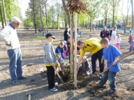Sadba stromu Těšany