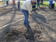 Sadba stromu Těšany