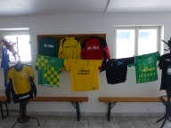 Stiga hokej Těšany