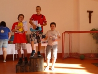 Stiga hokej Těšany