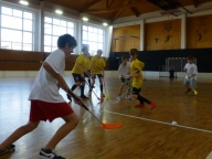 Liga mladších žáků Dolní Bojanovice 5.11.2016